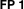 FP 1