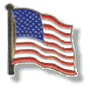AmericanFlagPin