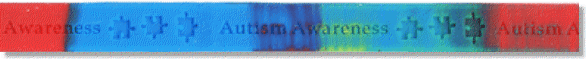 autismbraceletsilo